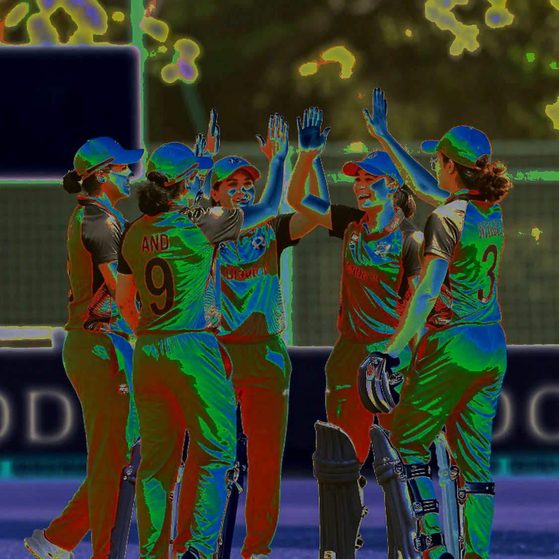 Confessions of an Empty Spreadsheet: When the Cricket Data Pipeline Goes Silent Confessions of an Empty Spreadsheet: When the Cricket Data Pipeline Goes Silent